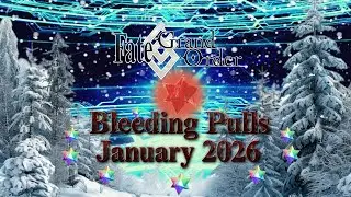 Fate/Grand Order - Bleeding Pulls (January 2026)