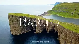 Nature Relaxation Landscape View | Walking on the Planet