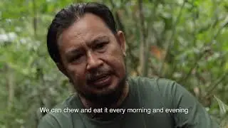 Langkawi Series Episode 5: Jungle Herbs Part 2