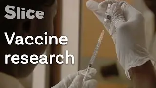 Are we going to defeat malaria? | SLICE