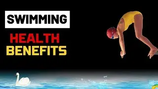 Swimming - health benefits  Discreet Health
