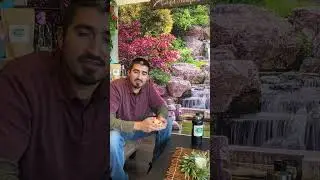 Zen's Tea Norwalk Cafe #zensteahouse