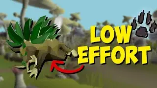 The LOWEST effort way to train Hunter (Herbiboar Quick Guide)