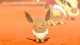 Eeveelution camp, with a special guest (a different Pok&eacute;mon)