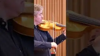 Concerto for viola d&rsquo;amore, strings & continuo in d, RV 394 - Allegro