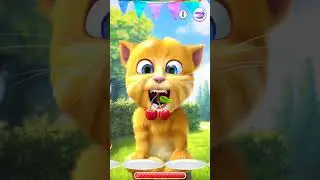 talking ginger gameplay 😂 funny cat video 🐈 #talkingtomversion #cat #talkingtom