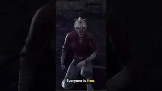 The Khajiit Who Exposed the Pact's Lie