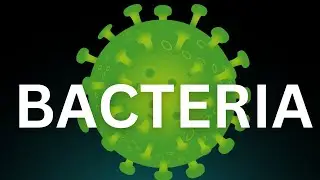 Learn How to Pronounce 'Bacteria'! Correctly (Microbiology Pronunciation)