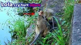 No ...I'm Hurt | pity poor baby Lola cry so hurt arm cuz Patty play strong ,beat touch injure Lola