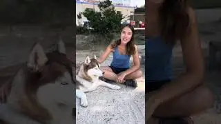 Os presentamos a Nilo!