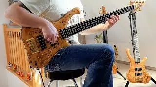 Andreas Jessat - Bassist / Kate Bush 
