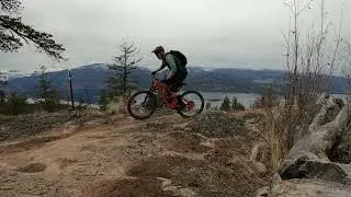 Ellison - Predator Ridge 2023