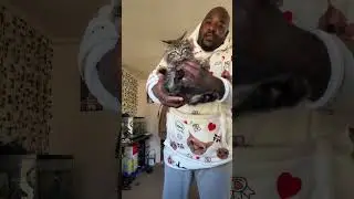 I got it for free #cat #catproblems #catfunny #funny #cattime #comedy #catstime