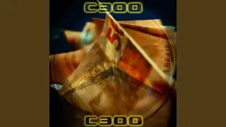 C 300