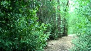 National Trust ~ Dover's Hill.wmv