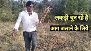 लकड़ी चुन रहे है आग जलाने  के लिये ।   ठंड में बहुत मजा आता है । Fun of Fire । Indian Fire