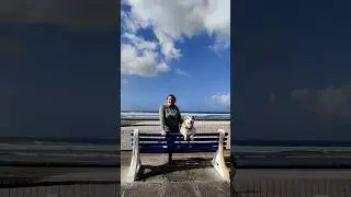 EXPECTATION VS REALITY: I'ts a Husky's world, we just live in it