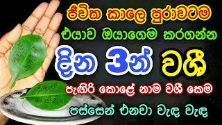 ඕනම කෙනෙක්ව දින 3න් වශී කරන පැඟිරි කොළේ කෙම | gurukam | washi gurukam | Dewa bakthi | mantra