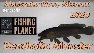 Руководство Fishing Planet Dendrofin Monster 2020 &mdash; река Мадуотер, Миссури