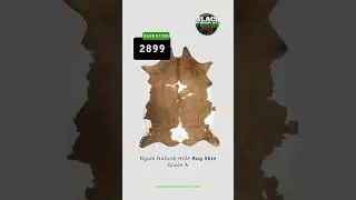 Black Friday Sale Rug Deals