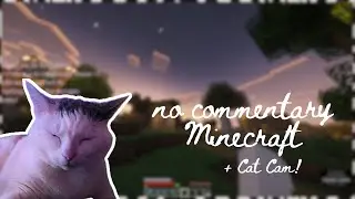 working on the village | no commentary | minecraft survival | easy &infin;༺&hearts;༻✧