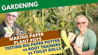 Making Paper Plant Pots: Testing vs Root Trainers