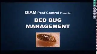 Bed Bugs in the Healthcare Environment  4/11/18