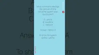 Linux Commands Quiz: Interview Preparation!