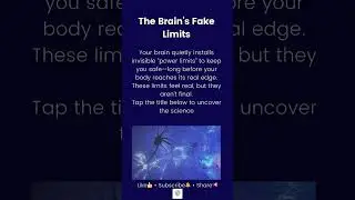The Brain&rsquo;s Fake Limits