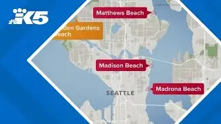 3 Seattle beaches closed due to high levels of bacteria