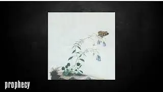 Botanist -&nbsp;In the Hall of Chamaerops