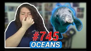 Every Disney Movie Ever: Oceans