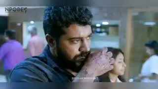 thadikaran chetano nivinpoli thadi supar whadsapp status