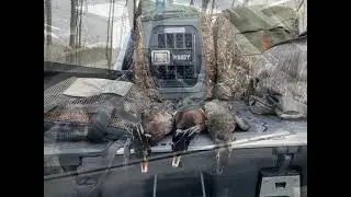 Duck Season 2020