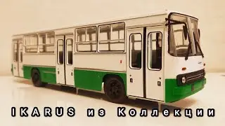 IKARUS 260.06 из моей коллекции