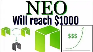 NEO will be $1000 & Ontology Network