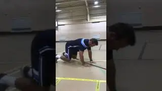 3-Point Contact Bear Crawl