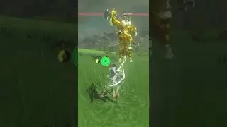 Eh, Gold Lynels aren't THAT Tough...