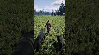 Создание уникального костюма из шкур животных в Red Dead Redemption 2