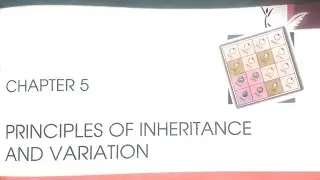 Class 12th Principles of Inheritance and Variation; Inheritance Of Two Gene.