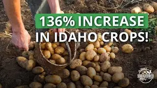 Soil Food Web School Case Study: Sustainable Services Idaho | Todd Harrington