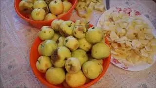 ЗАГОТОВКА ЯБЛОК В ЗИМУ / МОЯ МОРОЗИЛЬНАЯ КАМЕРА