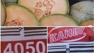 RECALL ALERT|cantaloupe|eggs|apple juice