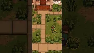 Cozy game 
