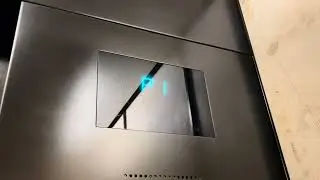 Luxurious Custom 2008 Otis Series 4 Traction Elevator 1 | Emerald Parking, The Bravern, Bellevue, WA