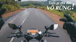 Z1000 CHUI V&Agrave;O RỪNG V&Agrave; C&Aacute;I KẾT KHỔ SAI! #GrantTuan