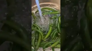How to store green chillies for long#shorts #kitchenhacks #freshgreen
