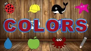 Learn the Color Names ll Yala Kids English Channel ll