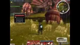 Guild Wars - Exploring Cantha