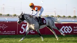 RM 40  Al Uqda Race 4 -   Al Arish Cup